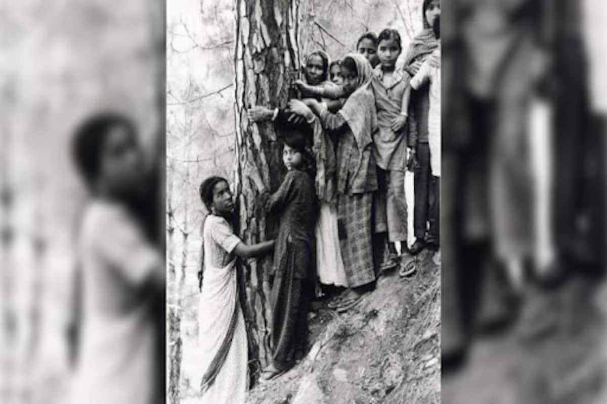 What is Chipko Movement? Here's All You Need to Know About The ...