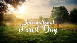 International Day Of Forests 2018: Know Why It Is Celebrated Every Year Globally International Day Of Forests 2018: Know Why It Is Celebrated Every Year Globally