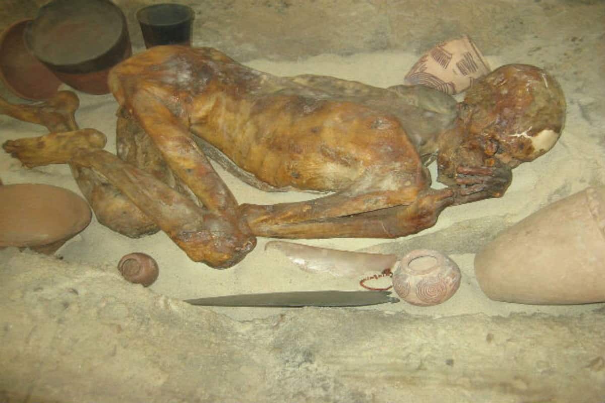 World's Oldest Tattooed Woman Discovered Among British Museum's 5000-Year-Old Egyptian Mummy World's Oldest Tattooed Woman Discovered Among British Museum's 5000-Year-Old Egyptian Mummy