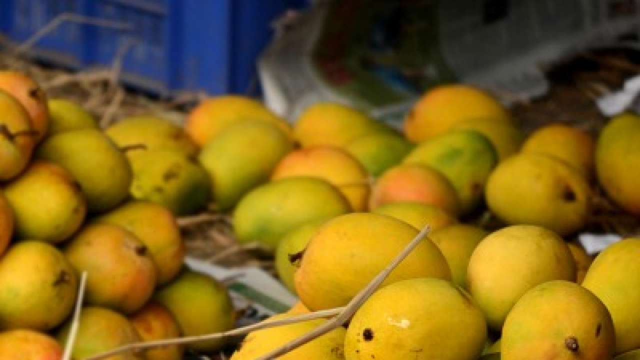 Expensive Mangoes 11 साल की बच्ची ने 1 लाख 20 हजार में बेचे 12 आम, खुश