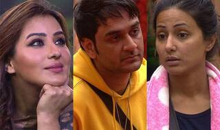 Shilpa Shinde's 'I Like Hina Khan' Tweet Is To Get Bigg Boss 11 Co-Contestant Vikas Gupta On Her Side?