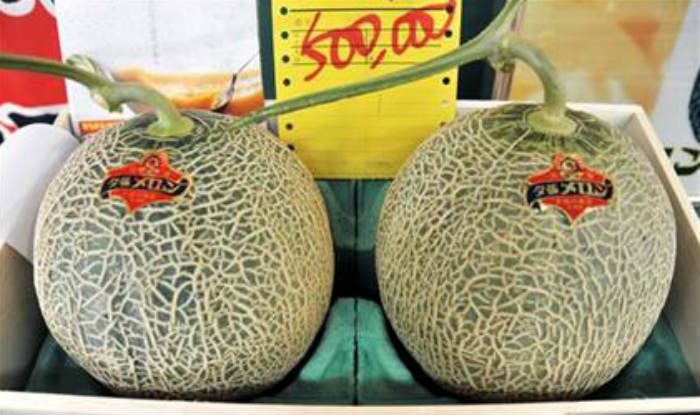 Pair of Premium Yubari Melons Fetched a Record of 3.2 Million Yen in Japan Auction