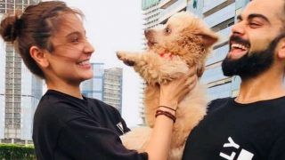 Anushka Sharma And Virat Kohli Showering All Their Love On THIS Cute Dog Will Instantly Melt Your Heart Anushka Sharma And Virat Kohli Showering All Their Love On THIS Cute Dog Will Instantly Melt Your Heart