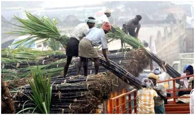 Cabinet Likely to Approve Rs 15,000-crore Agri-package For Farmers on Monday