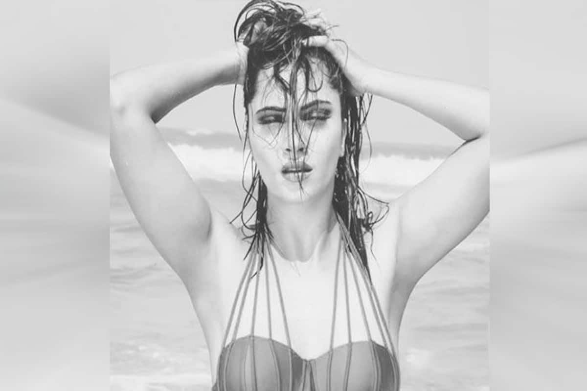 Bigg Boss 11 Contestant Arshi Khan Looks Her Sexiest Best in New Video  Nakhre- Watch | India.com