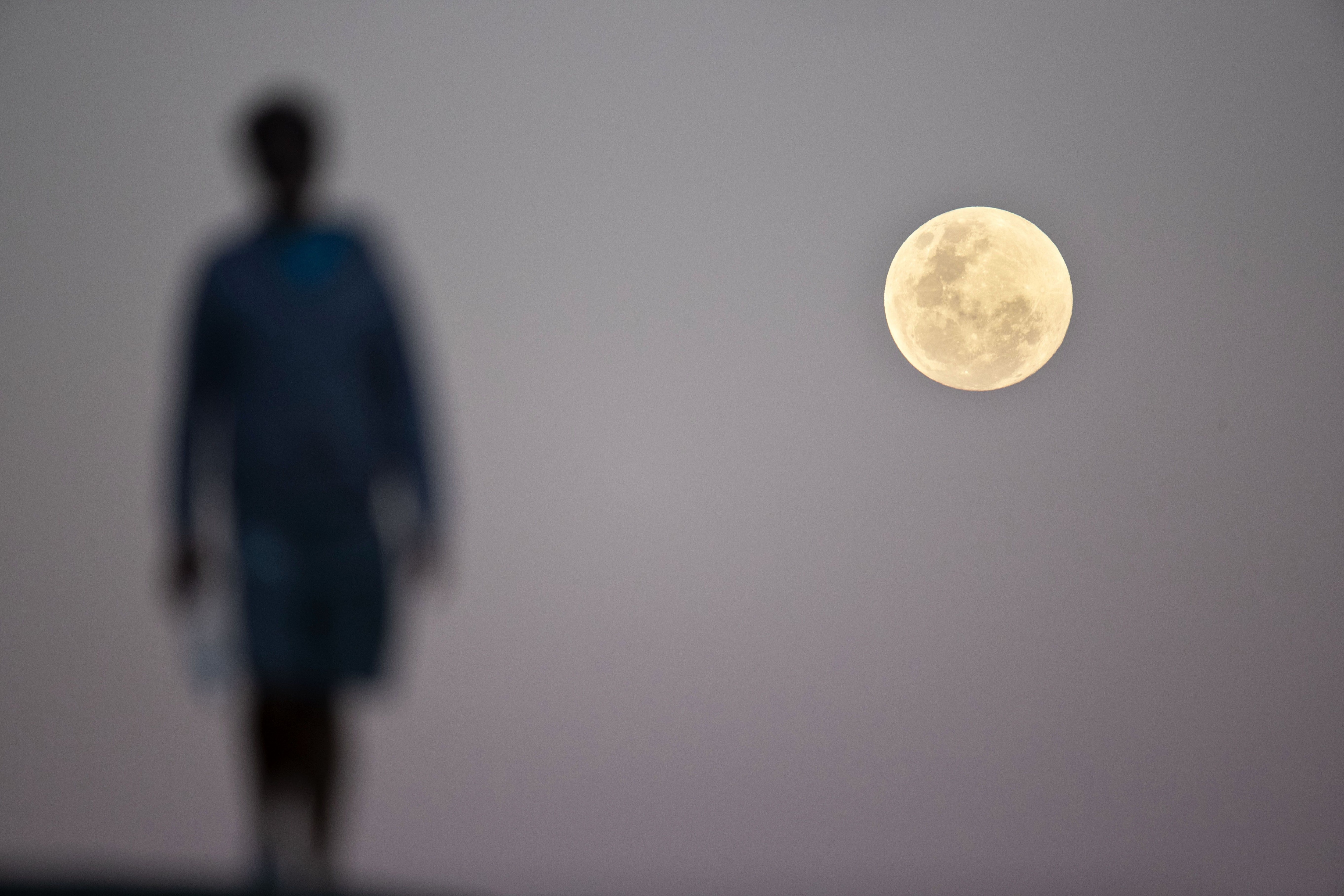 GettyImages-1005963310