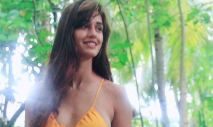disha