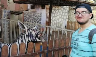 Cairo Zoo Showed Donkeys For Zebras, What's The Big Deal? Didn't Work For Some Doesn't Mean it Failed