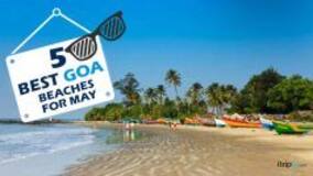 Check Out These 5 Beaches in Goa That Are Perfect For The Month of May!