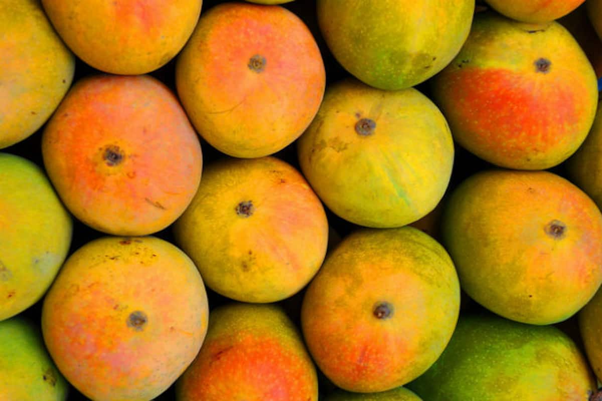 You Will Find Best Mangoes in The World in These 8 Places in India!