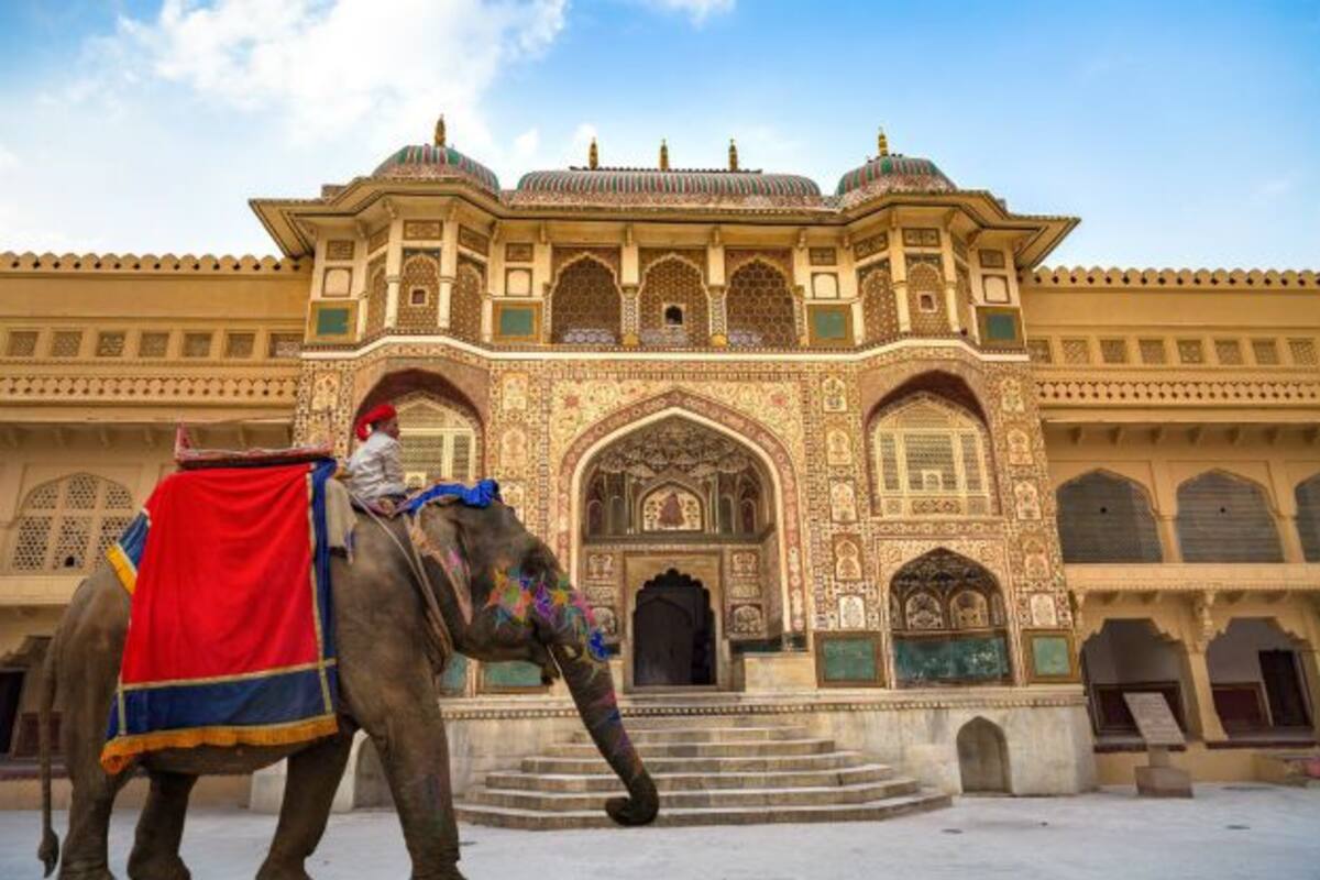 Now Elephant Rides Allowed At Amer Fort In Jaipur And Other Places In Rajasthan After Covid 19 Restrictions All You Need To Know African bush elephant asian elephant african forest elephant, elephant hd png. now elephant rides allowed at amer fort