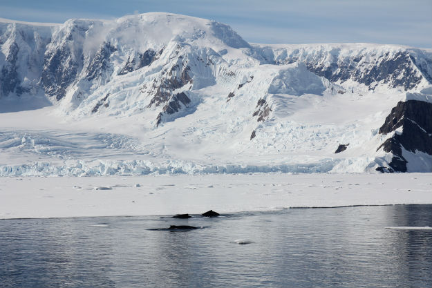 91 New Volcanoes in Antarctica: These Breathtaking Antarctica Photos ...