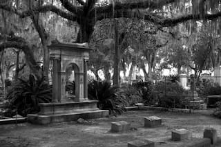 Most Haunted: Man or Beast Haunts Kalpalli Cemetery in Bengaluru?