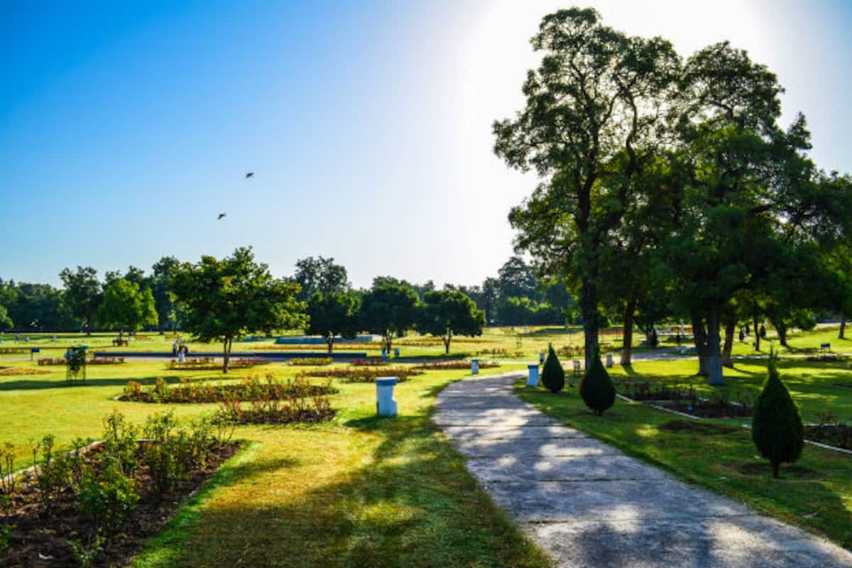 5 Reasons to Visit Chandigarh in North India | India.com