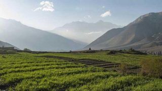 5 Reasons to Visit Chikmagalur in Karnataka 5 Reasons to Visit Chikmagalur in Karnataka
