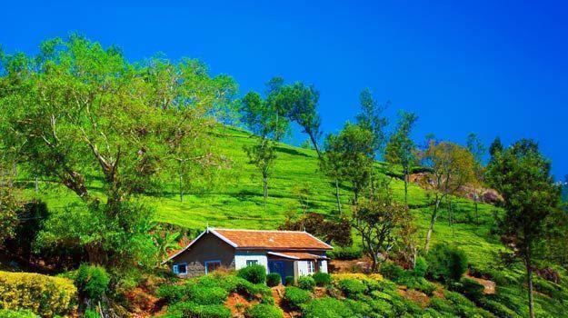 These alluring accommodations will make you fall for the charms of Coonoor