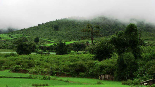 Daringbadi is Odisha's little-known hill station no one's told you about |  India.com