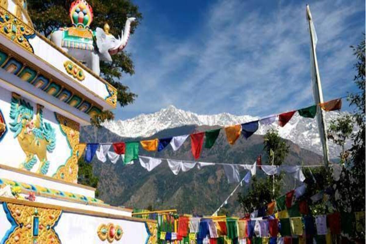 Chandigarh To Dharamshala Distance By Road Planning A Road Trip? Here Is How You Can Reach Dharamsala From Delhi