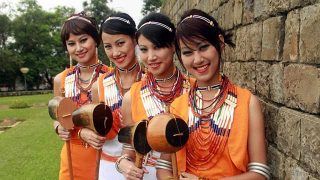 An ode to the Hornbill An ode to the Hornbill