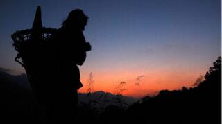 Spooky Happenings: Find Out Why Birds Commit Suicide at Jatinga in Assam