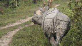 Best Places to Take a Break from Technology in India: Beautiful Places that'll Make You Forget about Facebook, Twitter, Instagram and even Google