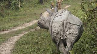 Best Places to Take a Break from Technology in India: Beautiful Places that'll Make You Forget about Facebook, Twitter, Instagram and even Google