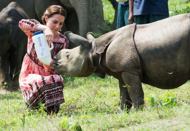 Photographs of Kate Middleton feeding baby rhinos and elephants are ...