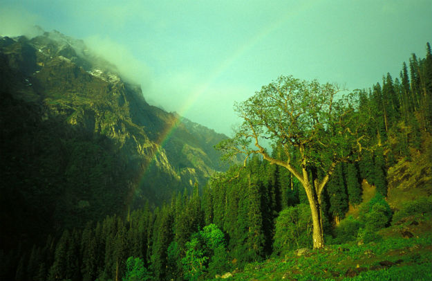 5 Reasons to Visit Kheerganga in May 2018