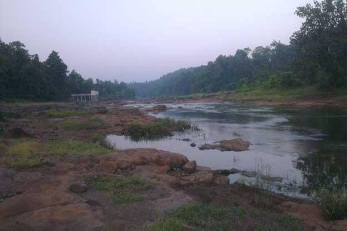 How to reach Vansda National Park in Gujarat: Getting to Vansda by Road, Train and Flight How to reach Vansda National Park in Gujarat: Getting to Vansda by Road, Train and Flight