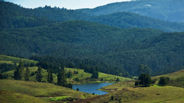 625px x 350px - Road Trip: Here is How You Can Reach Kodaikanal From Chennai by Road