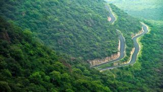 These Photos of Kodaikanal Will Tempt You to Visit The Beautiful Hill Station This Monsoon These Photos of Kodaikanal Will Tempt You to Visit The Beautiful Hill Station This Monsoon