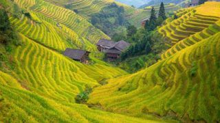Breathtaking Pictures of Longsheng Rice Terraces in China Will Spark Your Wanderlust Breathtaking Pictures of Longsheng Rice Terraces in China Will Spark Your Wanderlust