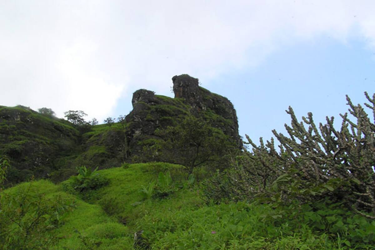 8 Best Monsoon Treks In Maharashtra India Com You may want to know about places to visit sinhagad is one of the most famous monsoon trekking spots in maharashtra. 8 best monsoon treks in maharashtra