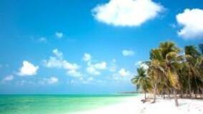 These pristine beaches in India will leave you awestruck - View pics!