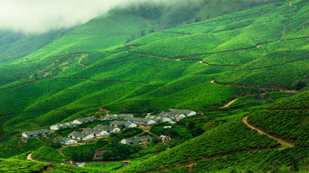 Kerala Tour Package