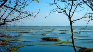 Top 5 Must-Visit Lakes of Northeast India Top 5 Must-Visit Lakes of Northeast India