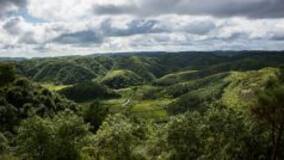 Places Where it Rains the Most in India: 5 Wettest Places for Those Who Love the Rains