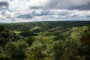 Places Where it Rains the Most in India: 5 Wettest Places for Those Who Love the Rains