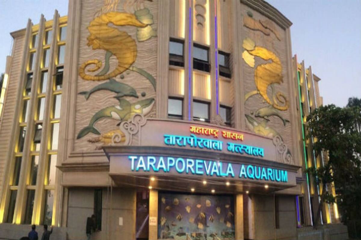 5 Fun Things To Do In Mumbai You Ve Probably Not Done Before India Com If you have your own vehicle then u may city of rich people: