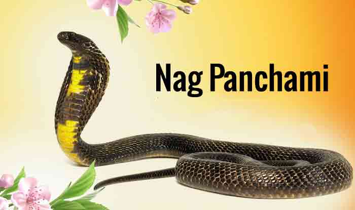 Buy 5 Ace Nag Panchami A Wall Sticker Paper Poster Online at Low Prices in  India - Paytmmall.com