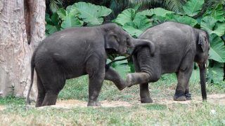 10 pictures that show the funny side of National Parks in India 10 pictures that show the funny side of National Parks in India