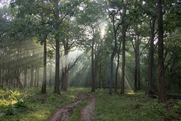 Travel Articles | Travel Blogs | Travel News & Information | Travel Guide | of India: From Assam And Meghalaya to Andaman And Nicobar Islands Travel Articles | Travel Blogs | Travel News & Information | Travel Guide | of India: From Assam And Meghalaya to Andaman And Nicobar Islands