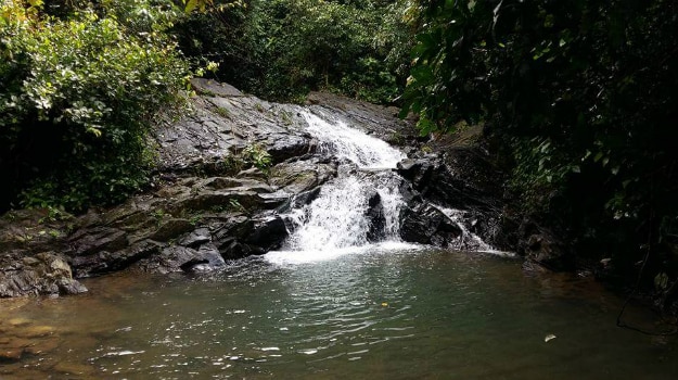 Will you go for the monsoon trek to Savri Waterfall in Goa? | India.com