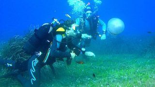 Five things to remember while scuba diving Five things to remember while scuba diving