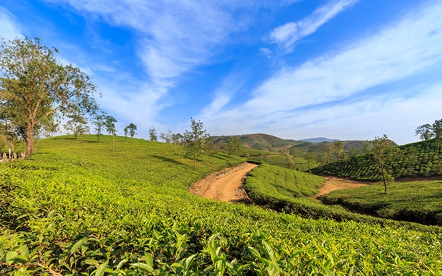 Travel Articles | Travel Blogs | Travel News & Information | Travel Guide |  India.comHow to Reach Vagamon in Kerala by Road, Train and Flight | India .com