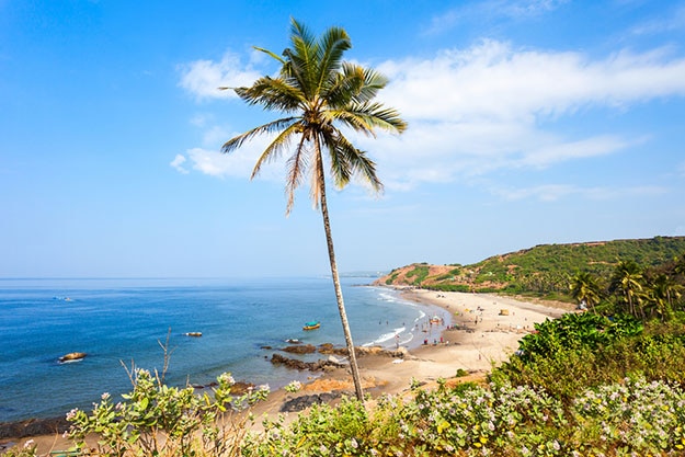Goa Images  Browse 50155 Stock Photos Vectors and Video  Adobe Stock