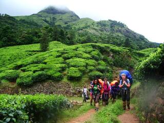 11 things you probably didn't know about Wayanad but should!