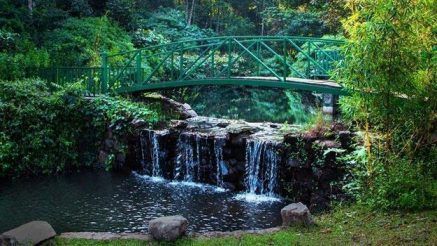 These 8 Stunning Photos Rightly Prove That Coorg is Scotland of India