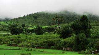 Kashmir of Odisha: Here's How You Can Reach Beautiful Hill Station Daringbadi