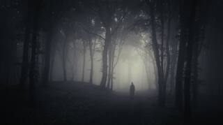 Most Haunted: Forest Spirits Believed to Roam Dow Hill in Kurseong